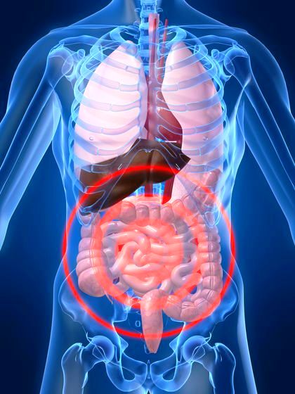 COLON E OSTEOPATIA VISCERALE
